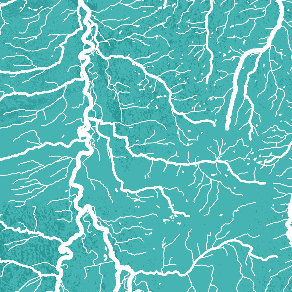 Carte Hydrologique de l’Allier (détail)