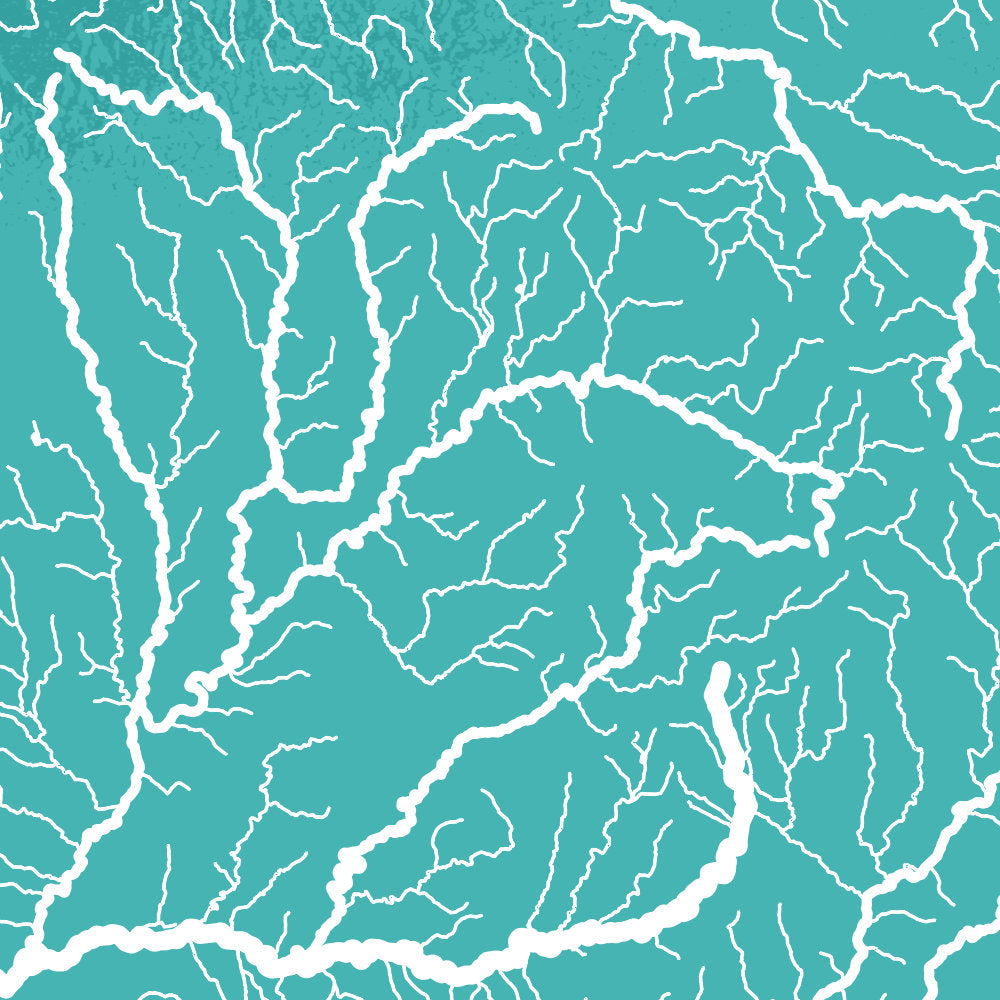 Carte Hydrologique du Cantal (détail)